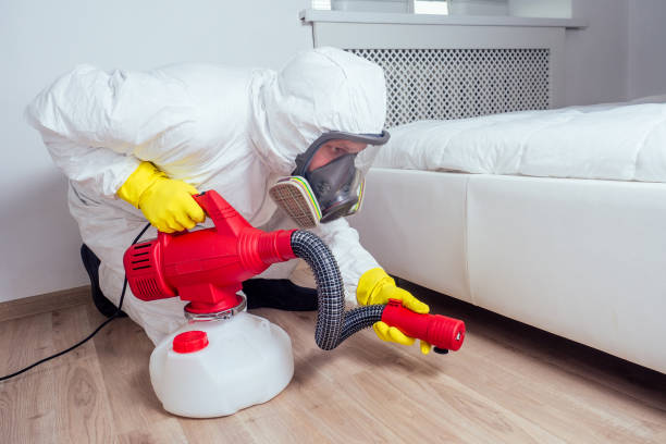 Best Best Pest Control Companies  in Islamorada Village Of Islands, FL