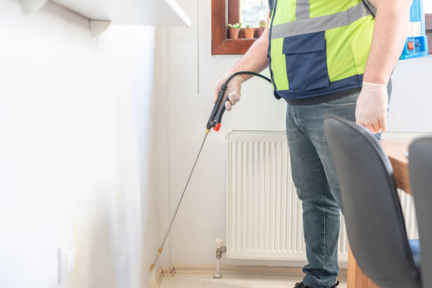Pest Prevention Services in Islamorada Village Of Islands, FL