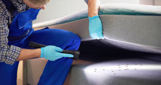 Best Flea Control Services  in Islamorada Village Of Islands, FL
